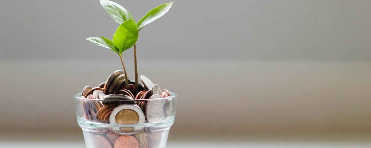 Vasinho de moedas com plantinha crescendo
